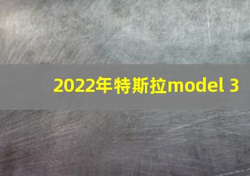 2022年特斯拉model 3